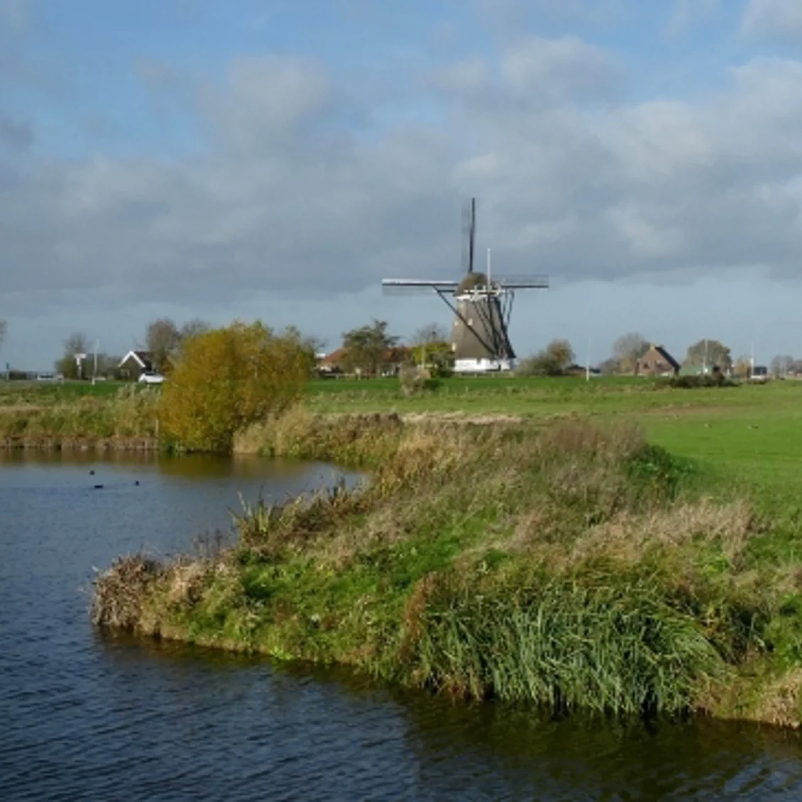 Oude molen wordt Slim Woonhuis – Bergschenhoek
